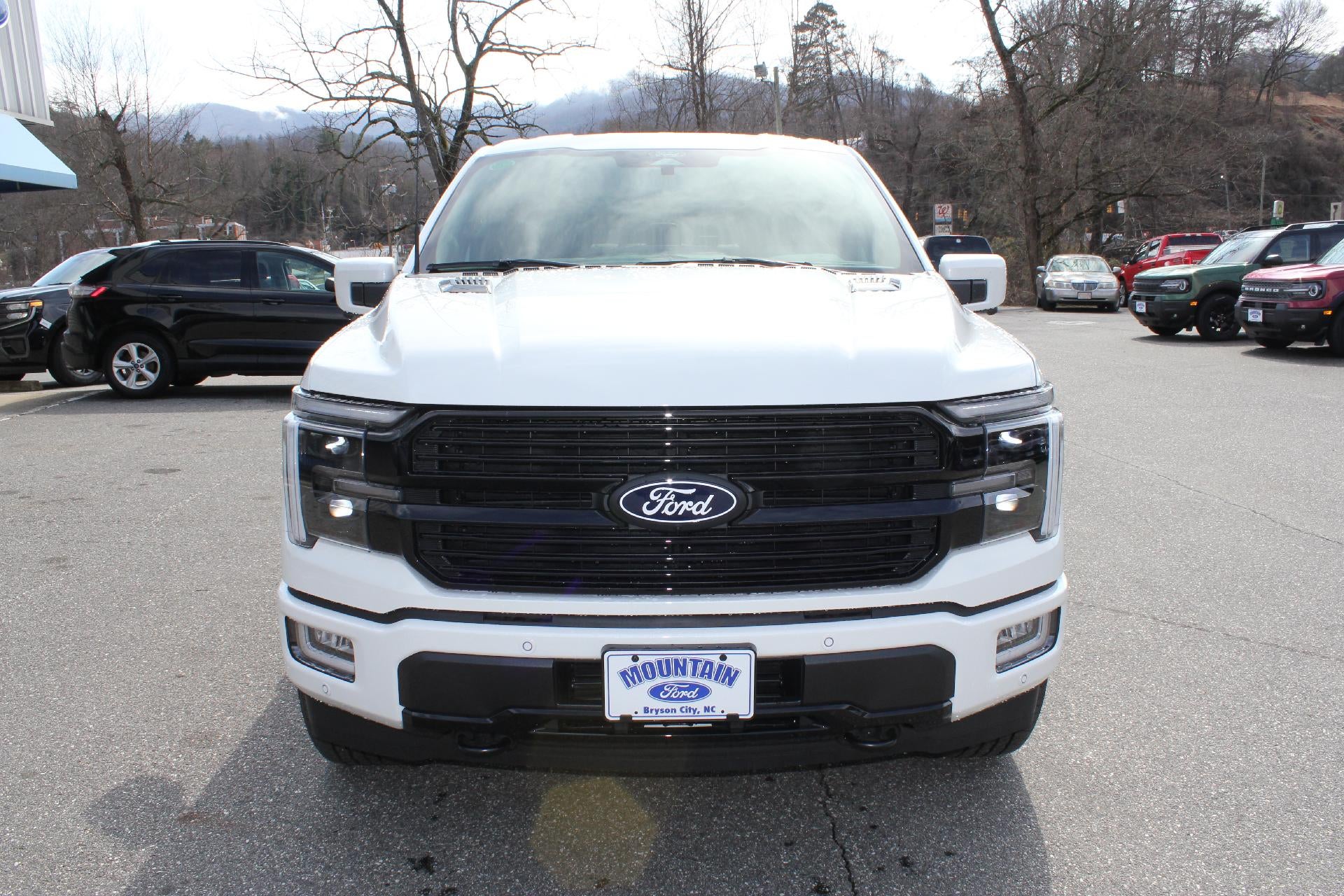 2026 Ford F-150 Platinum®