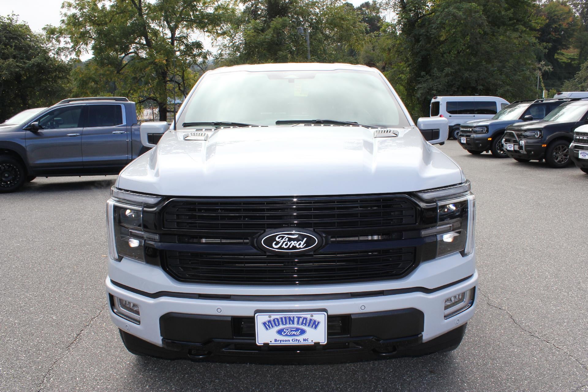 2025 Ford F-150 Platinum